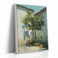 Oranges Beneath the Sunlit Wall