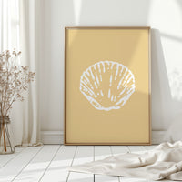 Seashells Remember Their Sandy Home