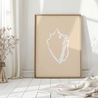 Seashell Sketches In Blush Light