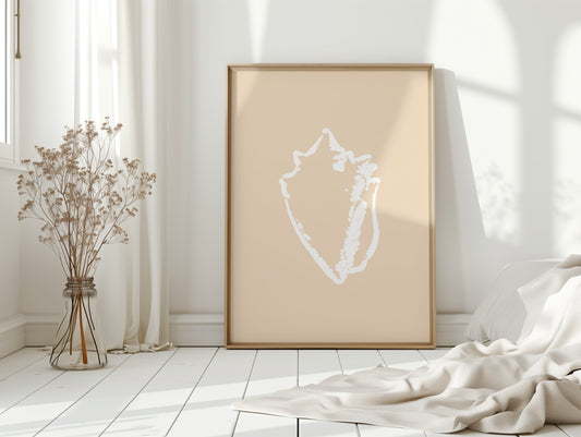 Seashell Sketches In Blush Light