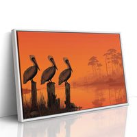 Three Pelicans, Zero Fish Caught