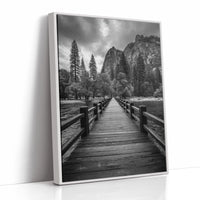 Journey Through Timbered Paths