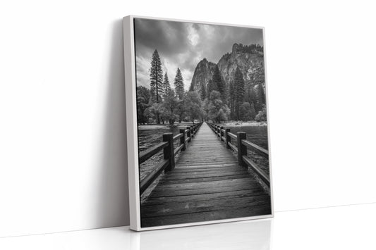 Journey Through Timbered Paths
