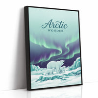 Arctic Wonder: Light Show, Front Row