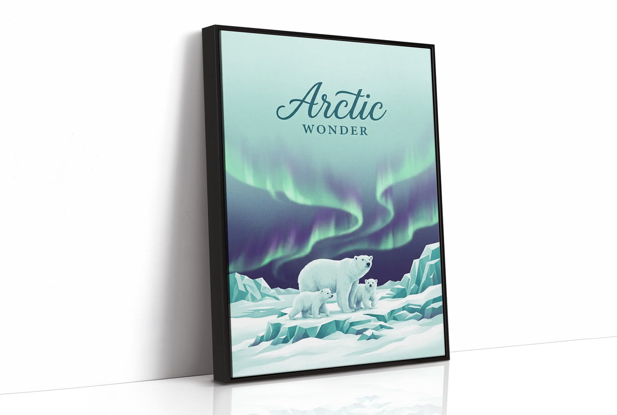 Arctic Wonder: Light Show, Front Row
