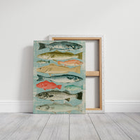 Catch of the Day: A Vintage Fish Chart