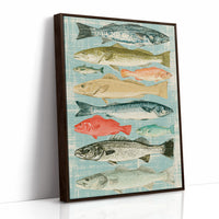 Catch of the Day: A Vintage Fish Chart