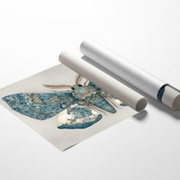 Azure Wings Among Leather Spines