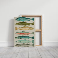 River Run: A Trout and Salmon Chart