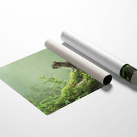 Woodland Sentinel Among Literary Treasures