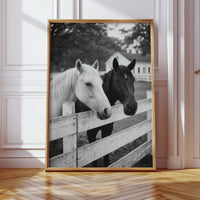 Pasture Gate Conversations