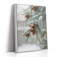 Frosted Pines Hold Their Secrets