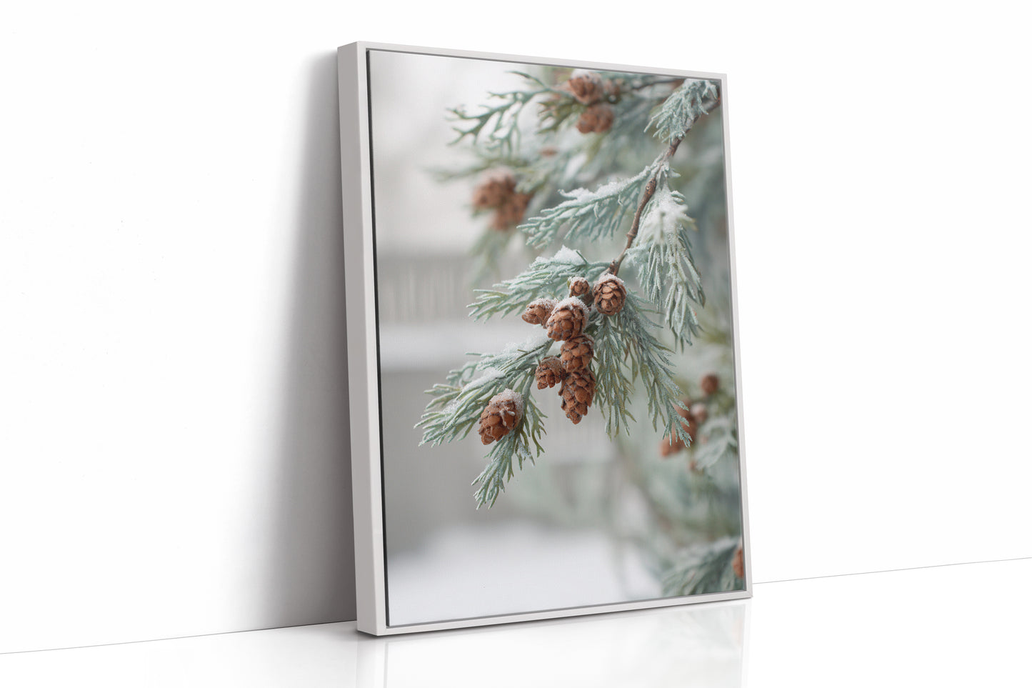 Frosted Pines Hold Their Secrets