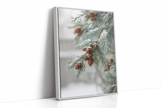Frosted Pines Hold Their Secrets