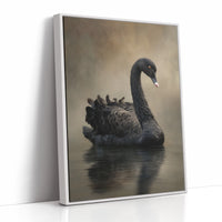 Elegance Adrift on Still Waters