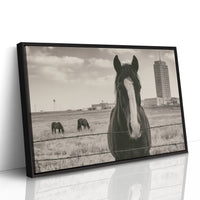 Grassland Watch