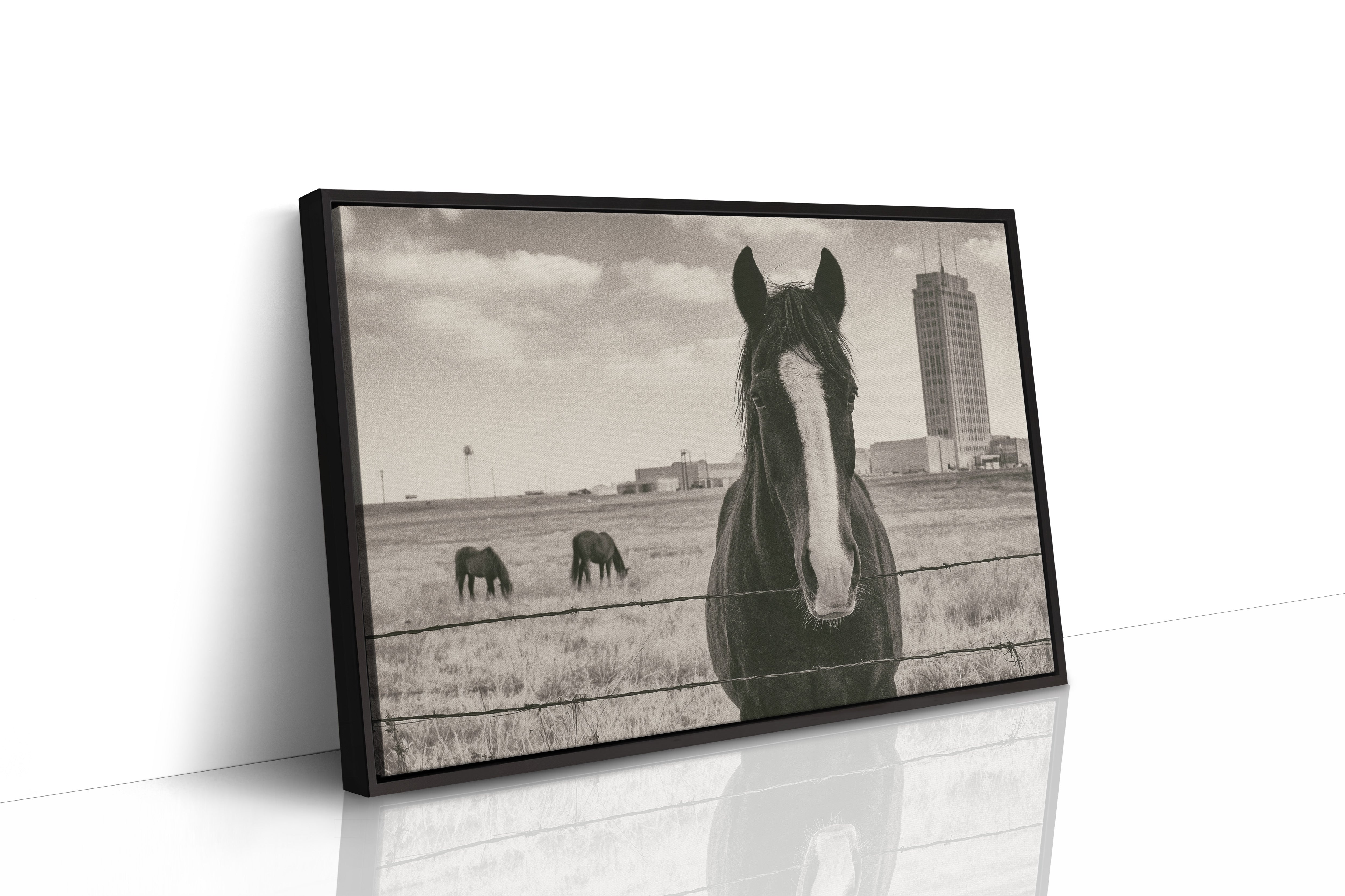 Grassland Watch