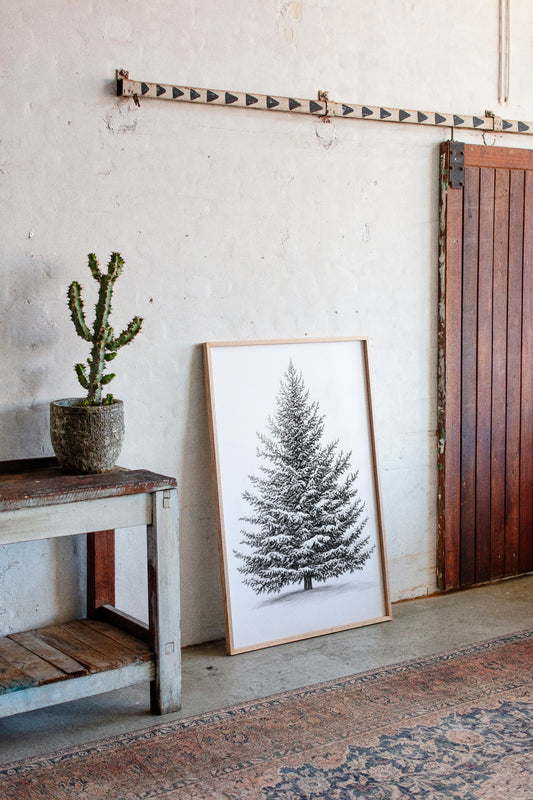 Snow-Covered Pine Tree Drawing - Winter Botanical Art - Gallery Canvas image 6
