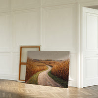 Harvest Path Winds Through Golden Fields