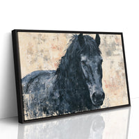 Midnight Mane, Quiet Gaze