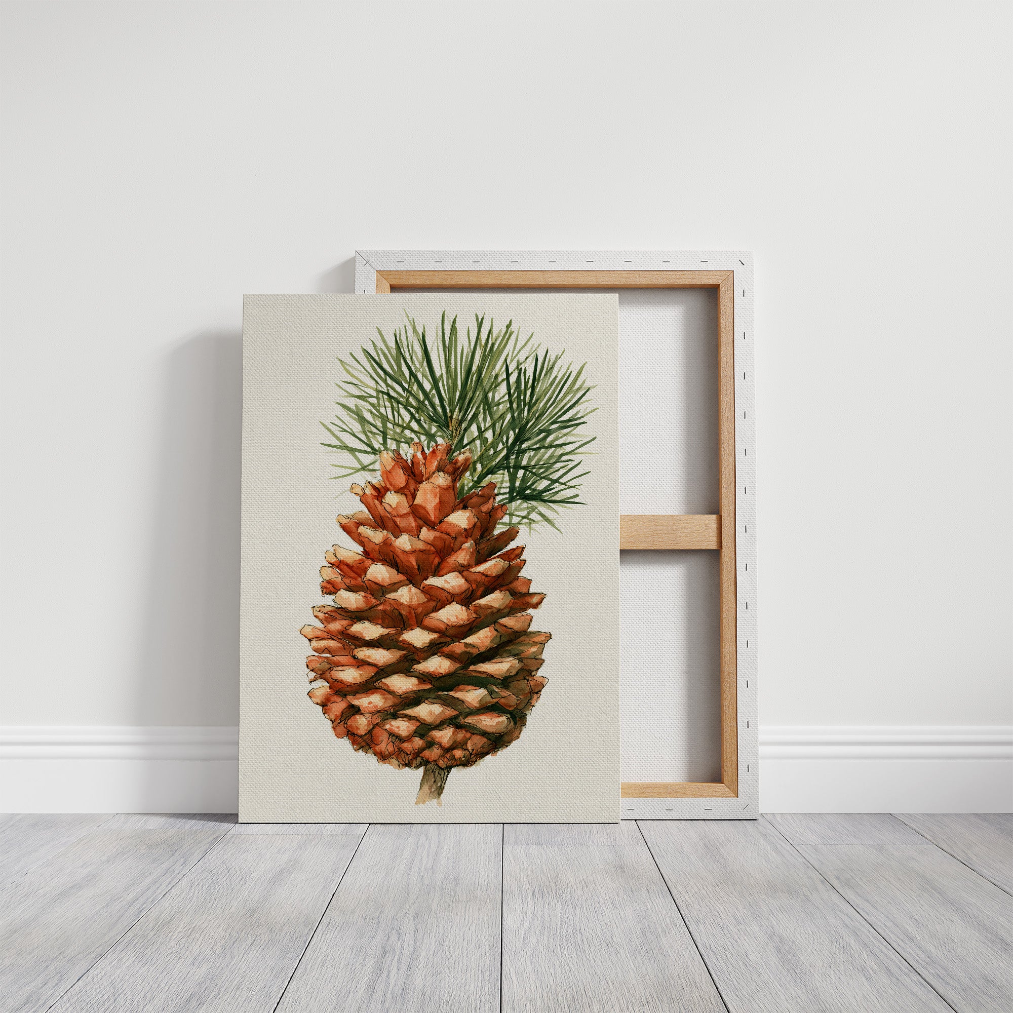 Pinecone Study No. 1
