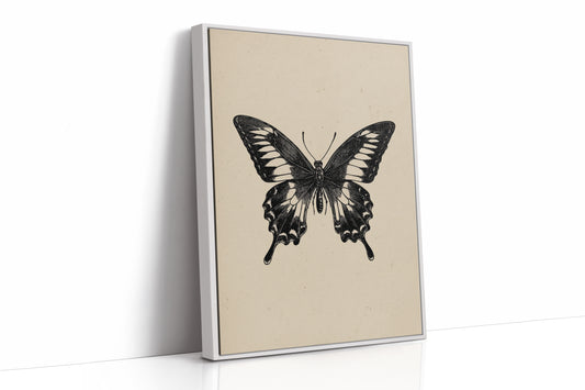 A Flutter Beneath Ancient Pages
