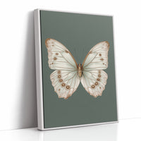 A Dance of Delicate Wings
