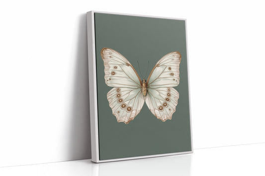 A Dance of Delicate Wings