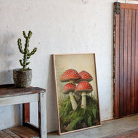Crimson Mushrooms Emerge