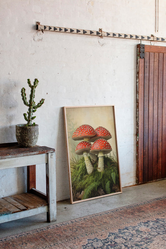 Crimson Mushrooms Emerge