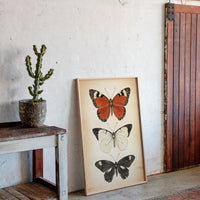 Flight Through Timeless Patterns