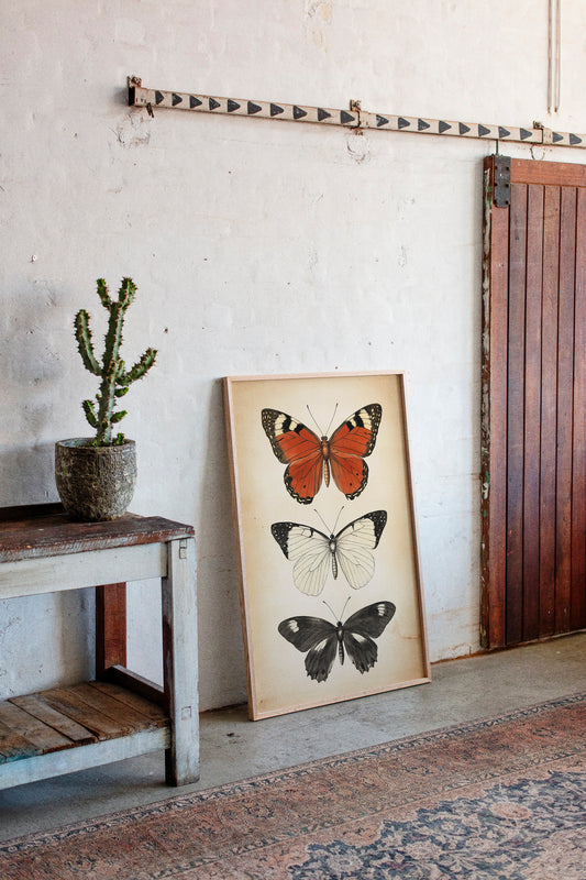 Flight Through Timeless Patterns