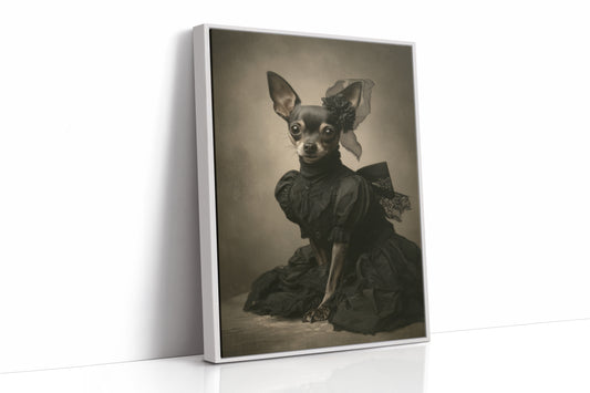 Lady of the Regal Chihuahua