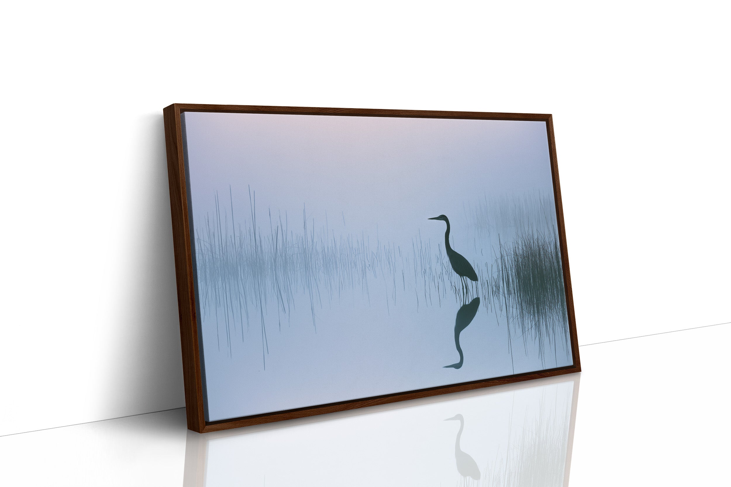 Stillness Before the Heron
