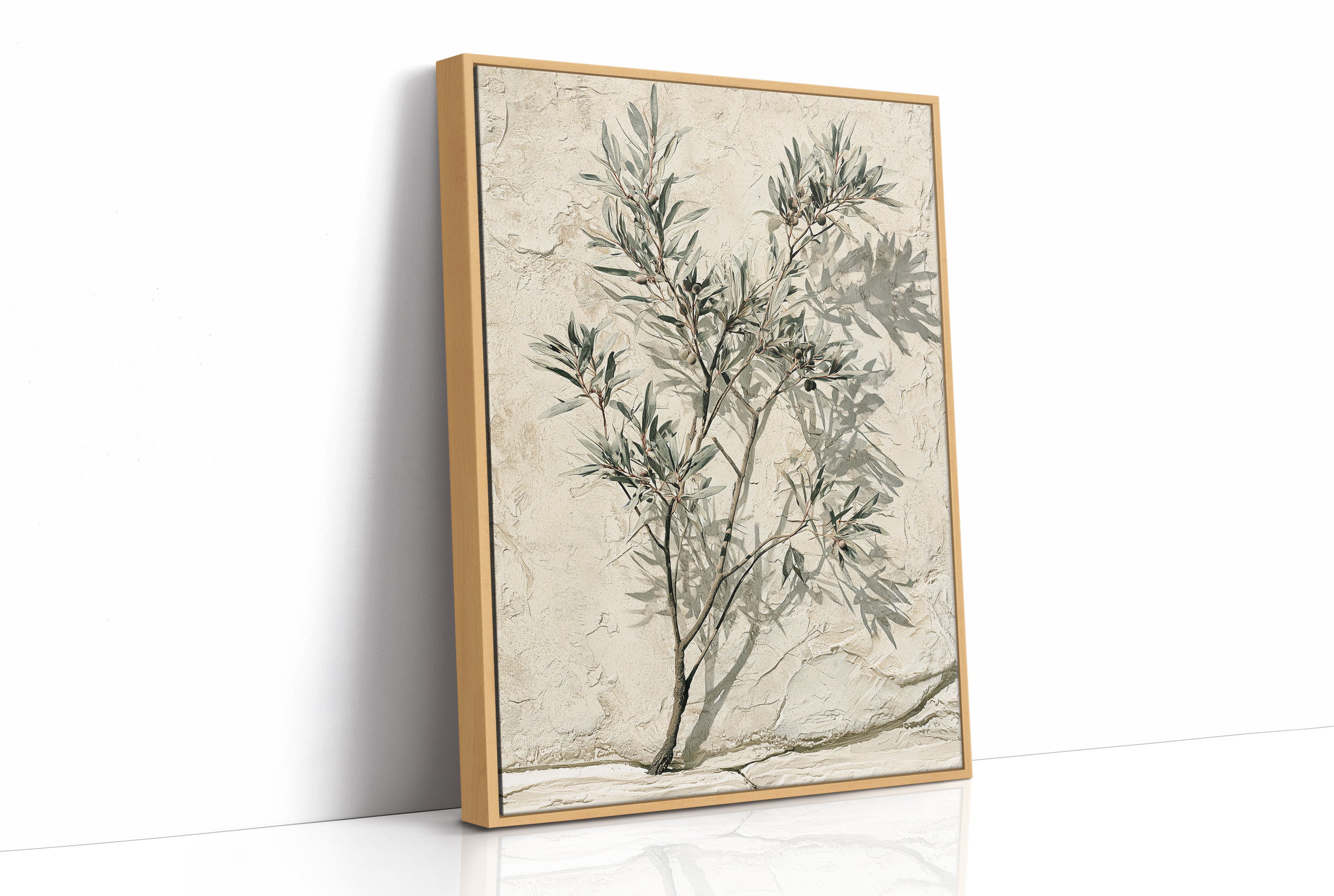 Olive Branch, Shadow on Plaster
