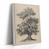 Wisdom Woven in Branches