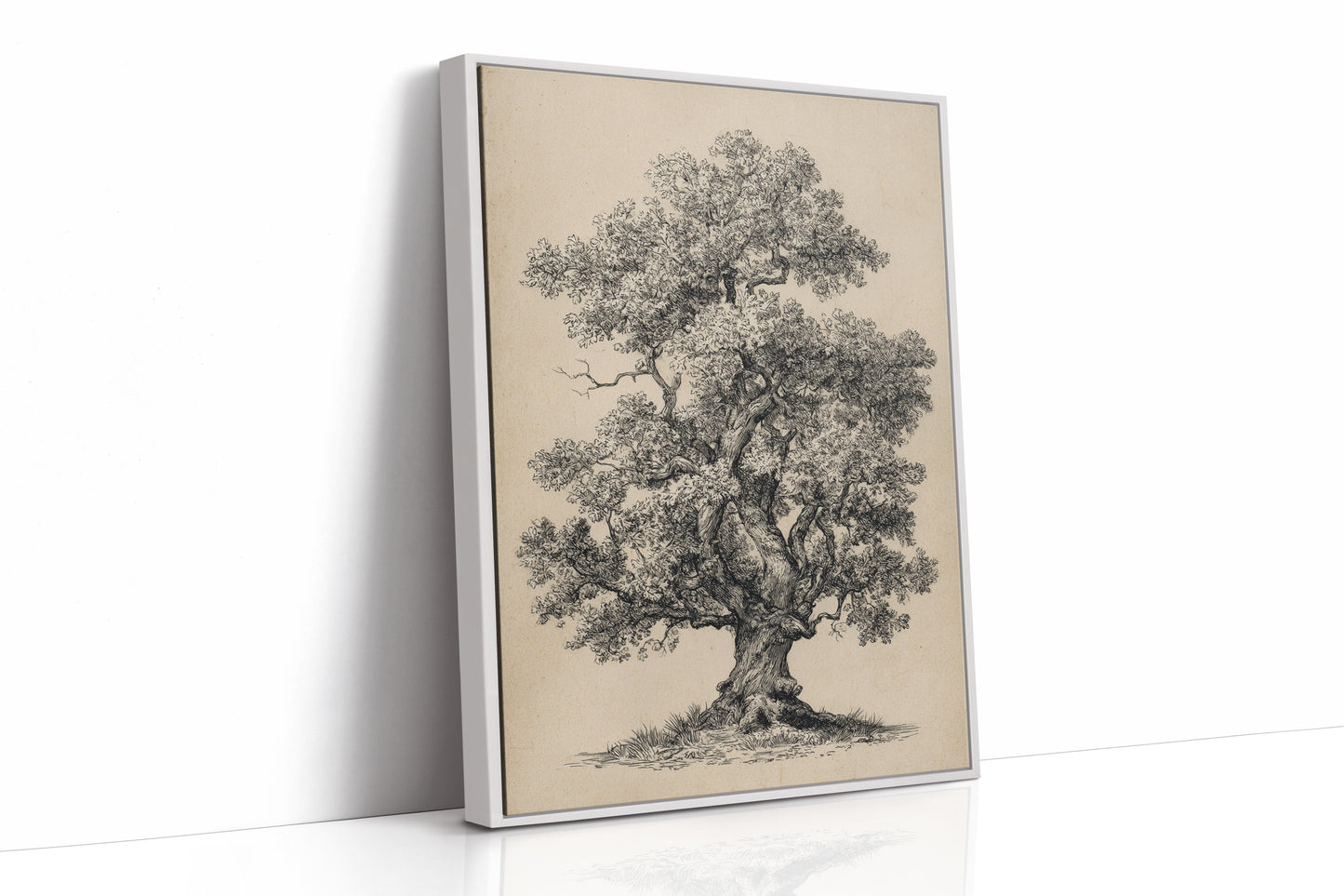Wisdom Woven in Branches