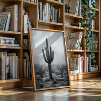 Cactus Standing Against The Mist