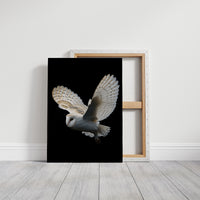 Silent Flight Against Darkness