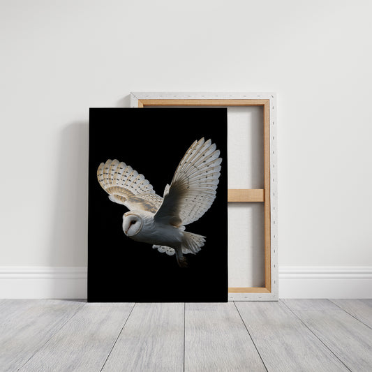 Silent Flight Against Darkness