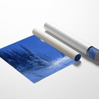 Frost Path Under Winter's Glow