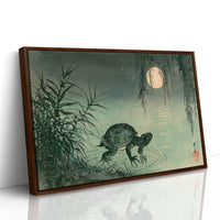 Turtle Beneath the Willow Moon