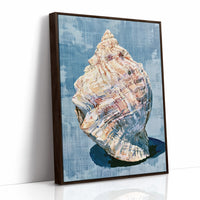 Weathered Conch, Woven Blue