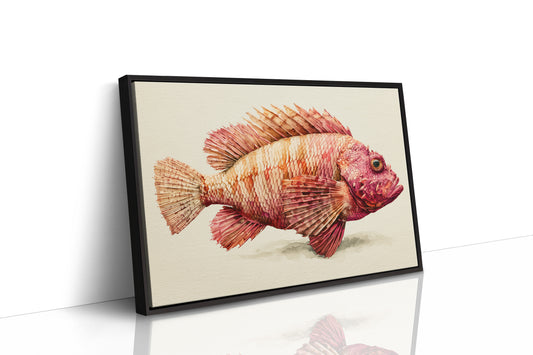 Coral Scorpionfish Study