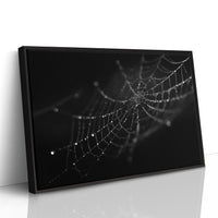 Dew Caught In Midnight Threads