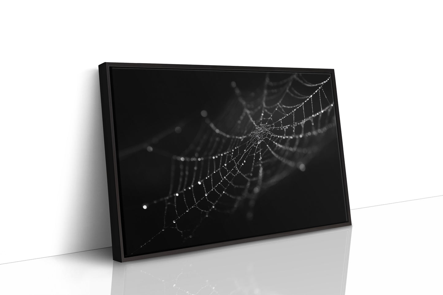 Dew Caught In Midnight Threads