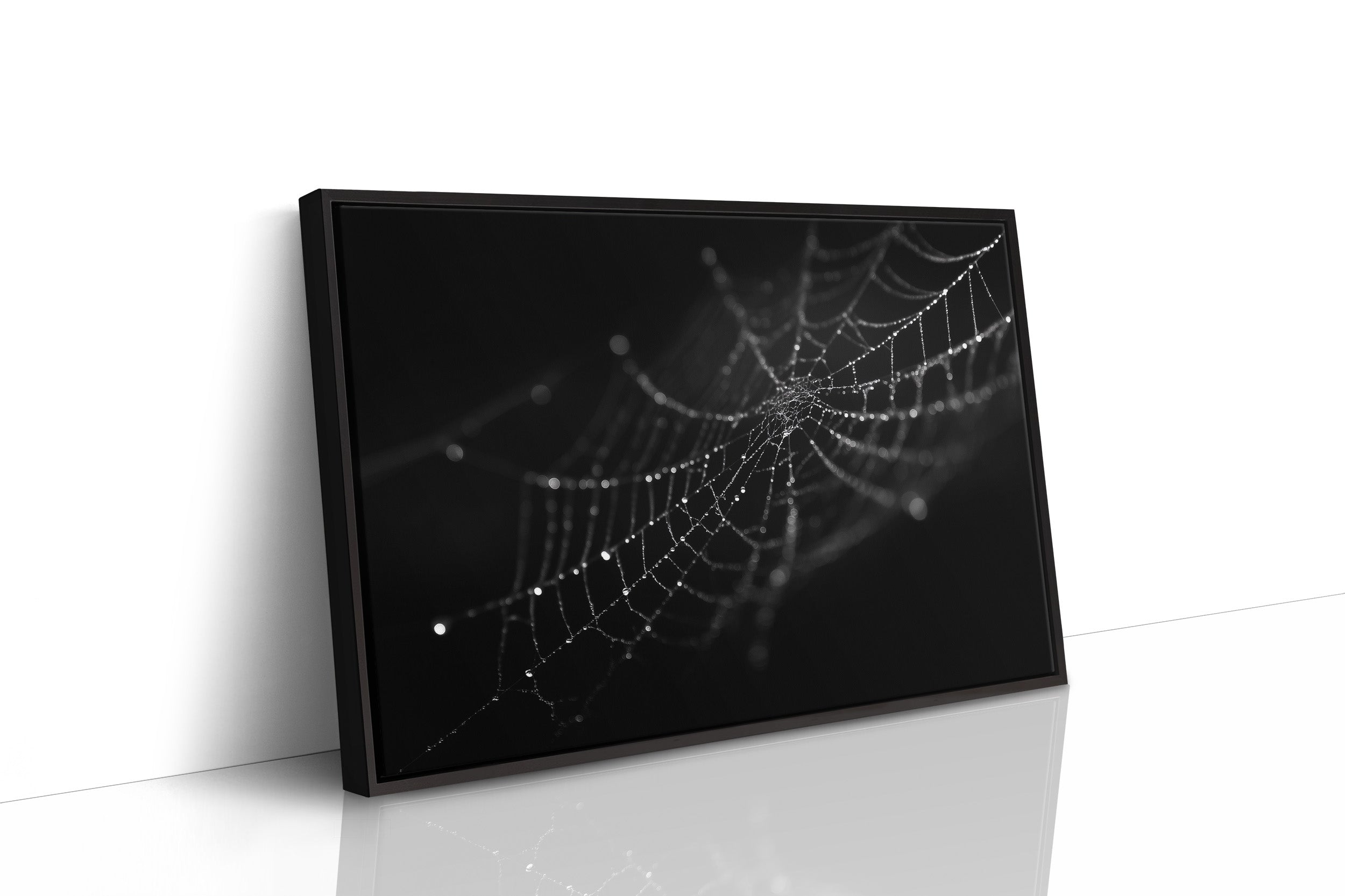 Dew Caught In Midnight Threads