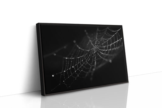 Dew Caught In Midnight Threads