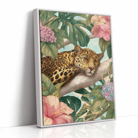 Napping Among Tropical Secrets