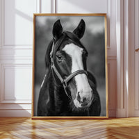 Gentle Spirit
